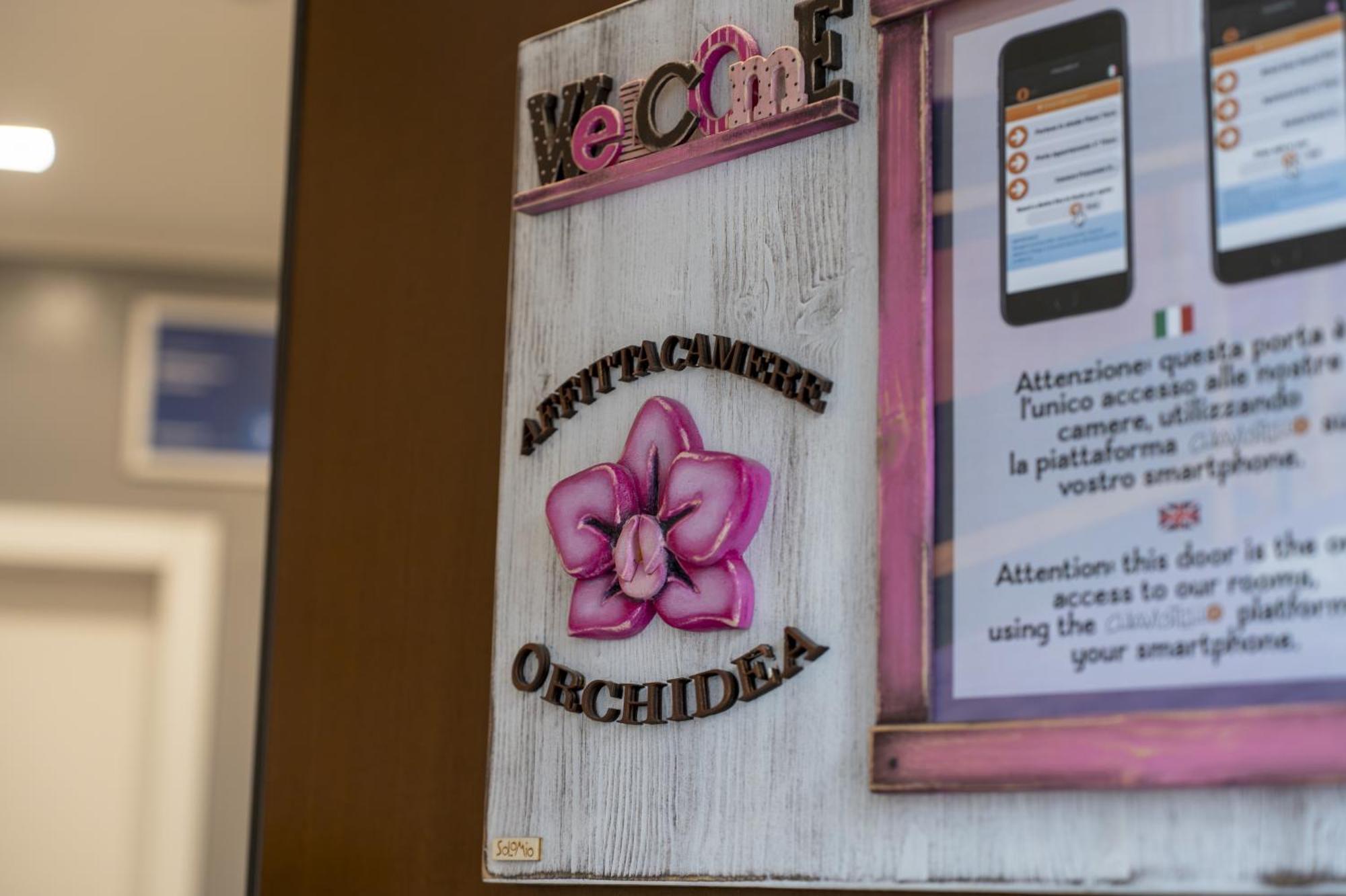 Orchidea Modena